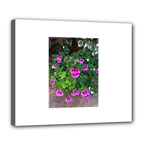 Flowers Deluxe Canvas 24  x 20  (Stretched) from Product Design Center