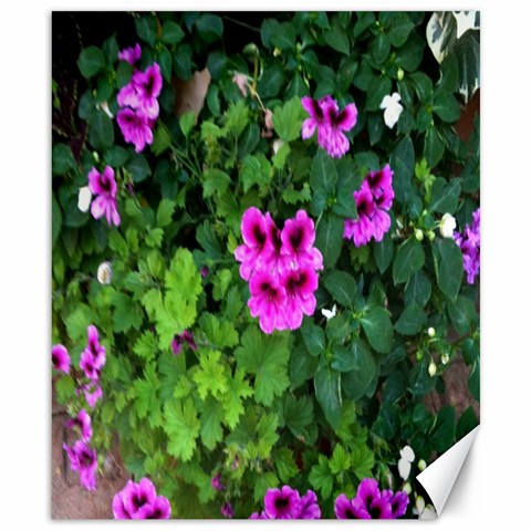 Flowers Canvas 8  x 10  from Product Design Center 8.15 x9.66  Canvas - 1