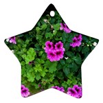 Flowers Star Ornament (Two Sides)